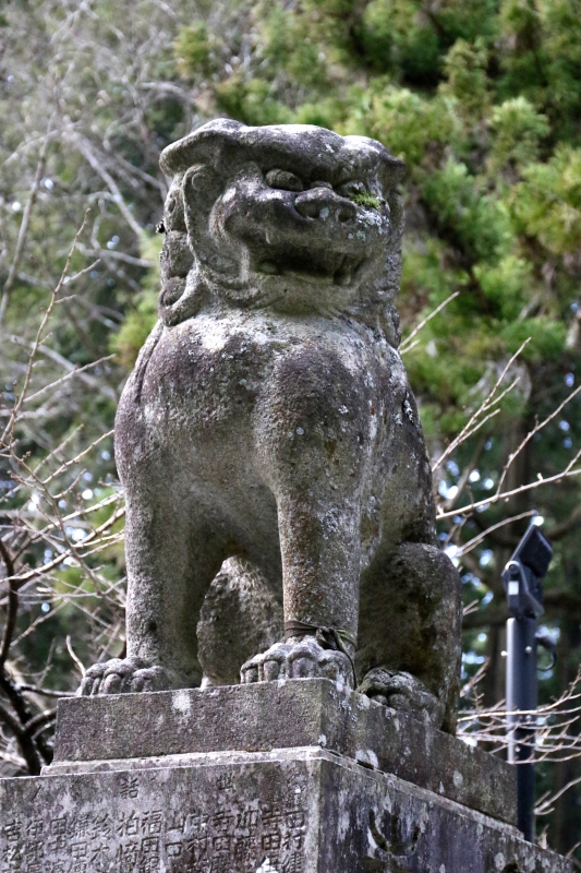 196A7903.jpg