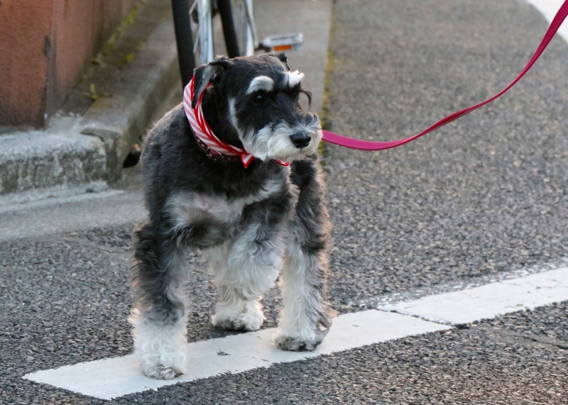 196A9597.jpg