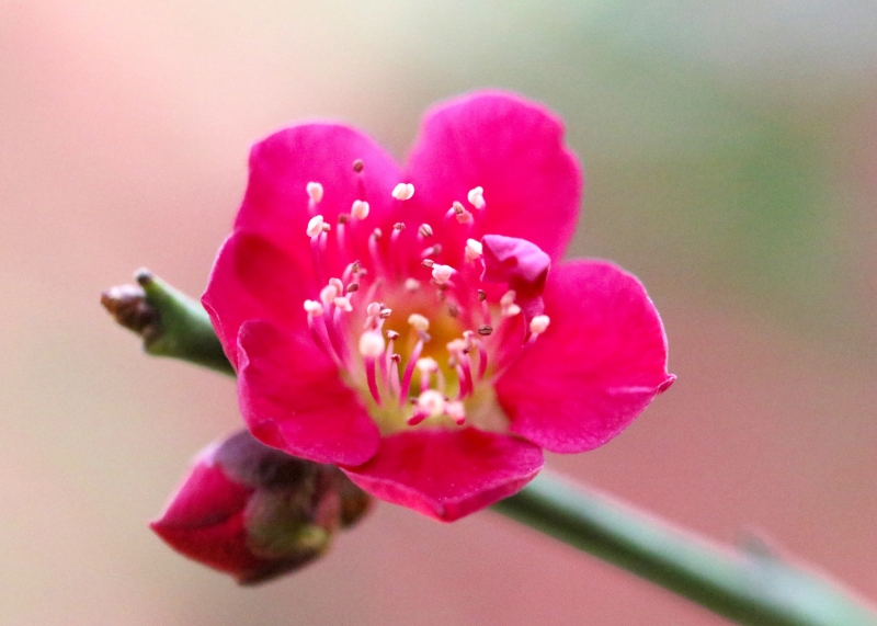 196A0176.jpg