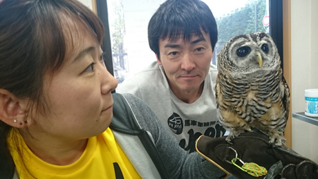 たまっパラ27回