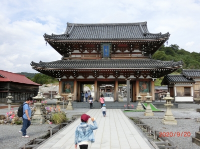 CIMG7133 (2).JPG
