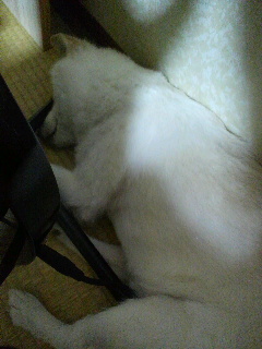 2018081717550000.jpg