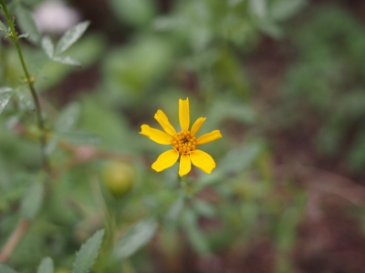 PA146029.JPG