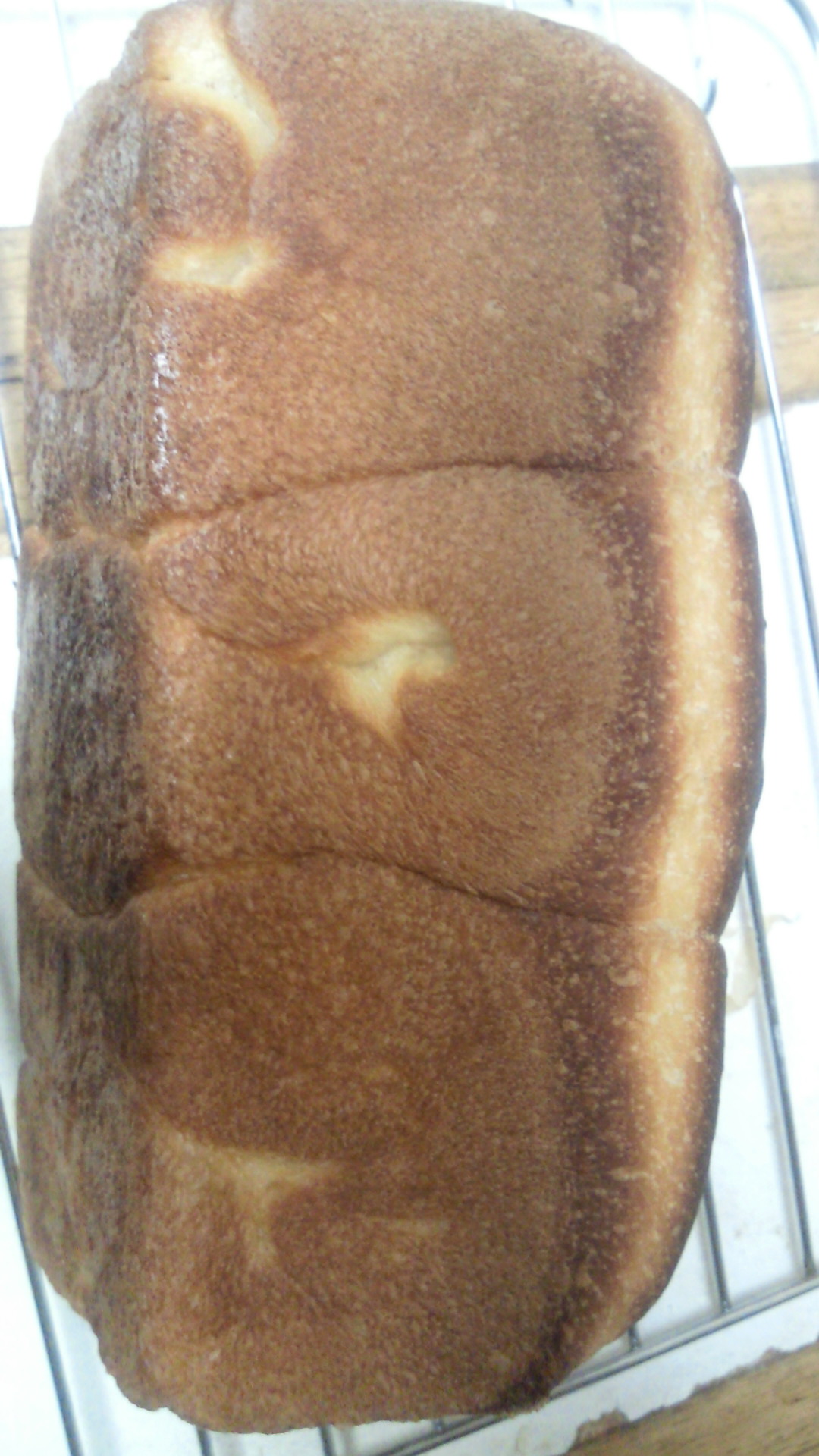 201302030825001.jpg
