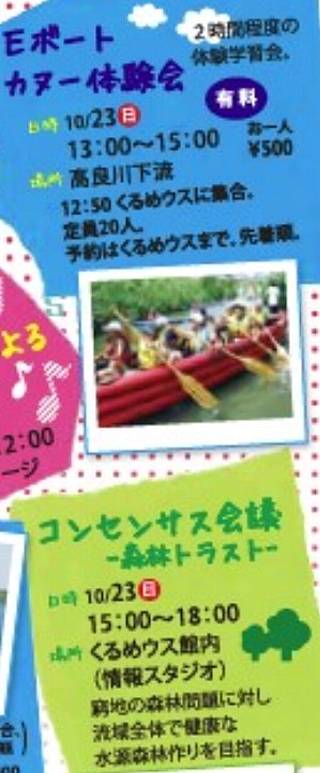 Eボートカヌー、コンセンサス会議
