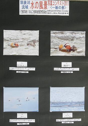 ¼Ì¿¿¥³¥ó¥Æ2011ºîÉÊ53-56