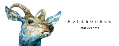 みつからない いきもの maruyanma