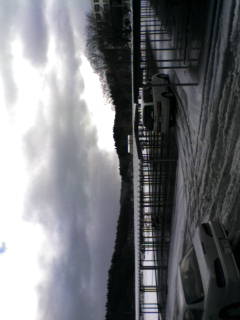 20061229_180143.jpg