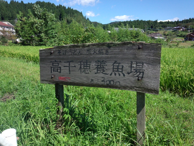 高千穂養魚場1