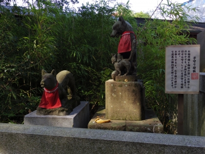 白笹稲荷(お狐様1)