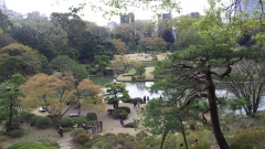 六義園