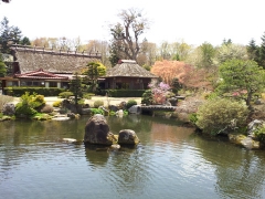 忍野八海