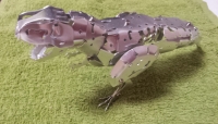 ティラノザウルス