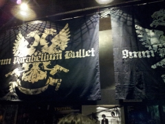 9mm Parabellum Bullet