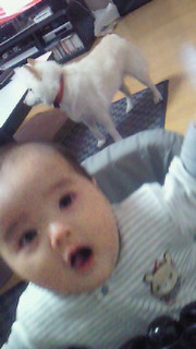 200904241733000.jpg