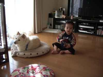 天敵と何で写真やねん?