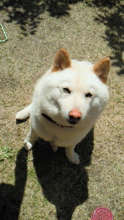 201005011149000.jpg