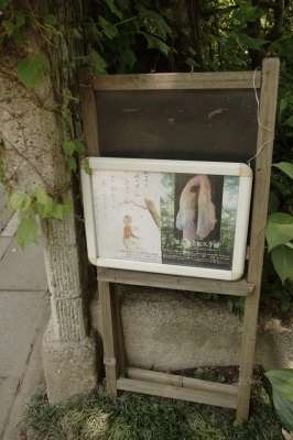 IMGP3346.JPG