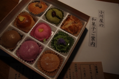 IMGP4867.JPG