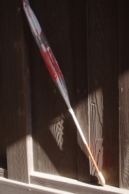 IMGP8310.JPG