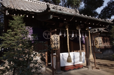 IMGP8294.JPG
