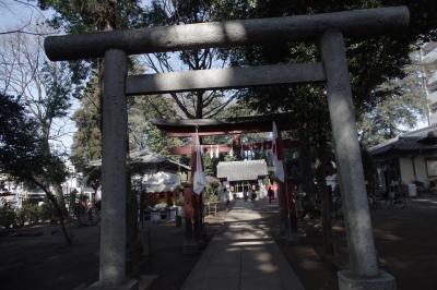 IMGP8297.JPG