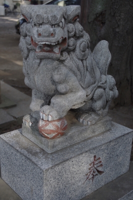IMGP8299.JPG