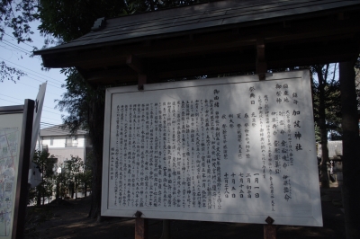 IMGP8300.JPG
