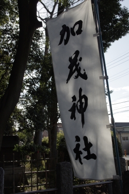 IMGP8302.JPG