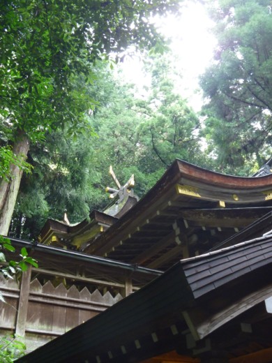 聖地