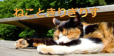 ねこきり