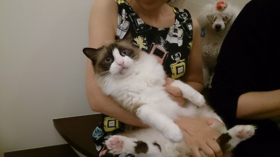 ピッコロ