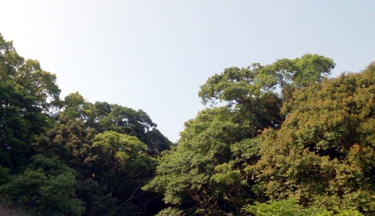 空