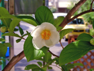 200906022 003_edited.jpg