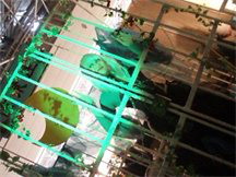 NEC_0511.JPG