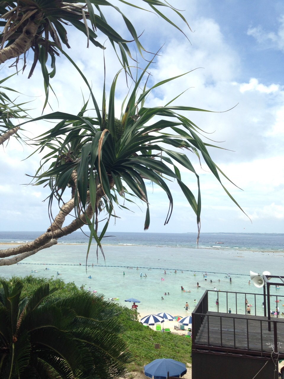 2015.08.13-16 沖縄 (267).JPG