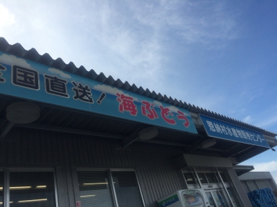 2015.08.13-16 沖縄 (270).JPG