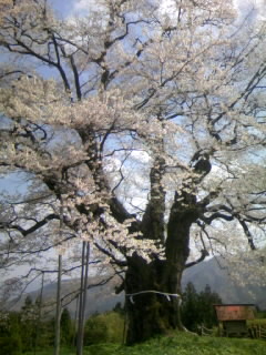 080414_141459.jpg