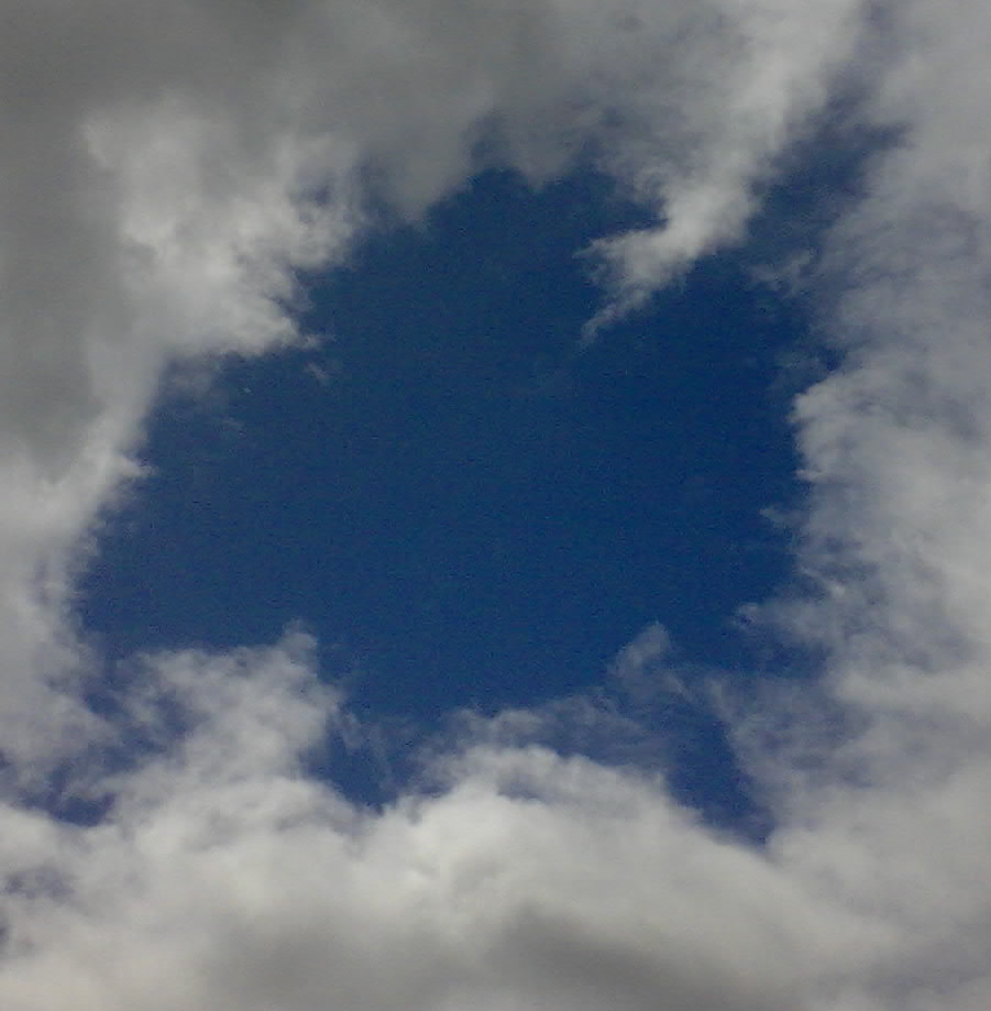 20090426.jpg
