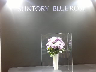 20090519.jpg