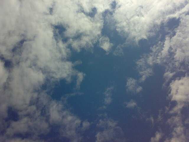 20090606.jpg