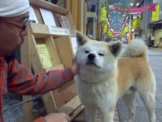 20100416.jpg