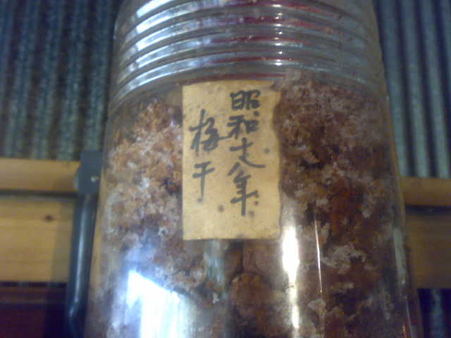201011192693.jpg