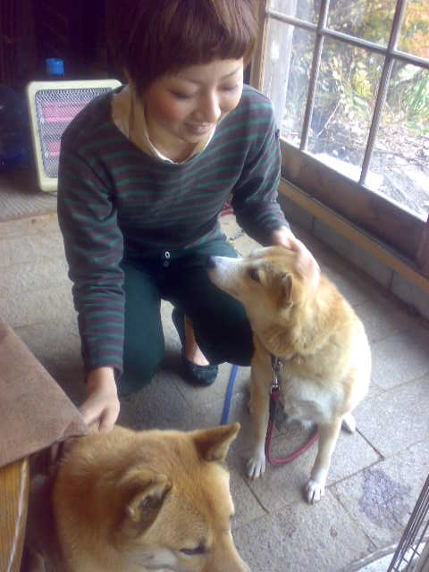 201011192691.jpg