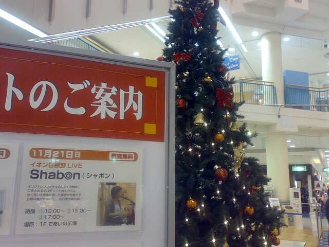 20101120.jpg
