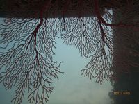 P1000095.JPG