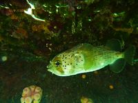 P1000103.JPG