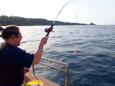 20191111 (11).JPG