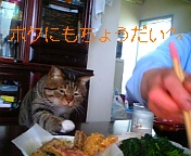 20070620_52169.JPG