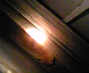 080525_081746.jpg